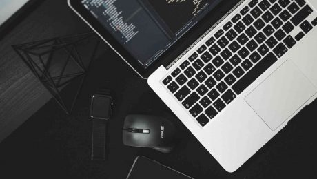 jasa web developer